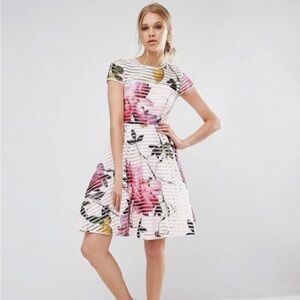Ted Baker London Camaro Citrus Bloom Mesh Dress in Pink